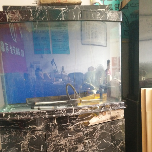 鋼琴、魚缸專運(yùn)現(xiàn)場